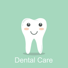 Pet dental care