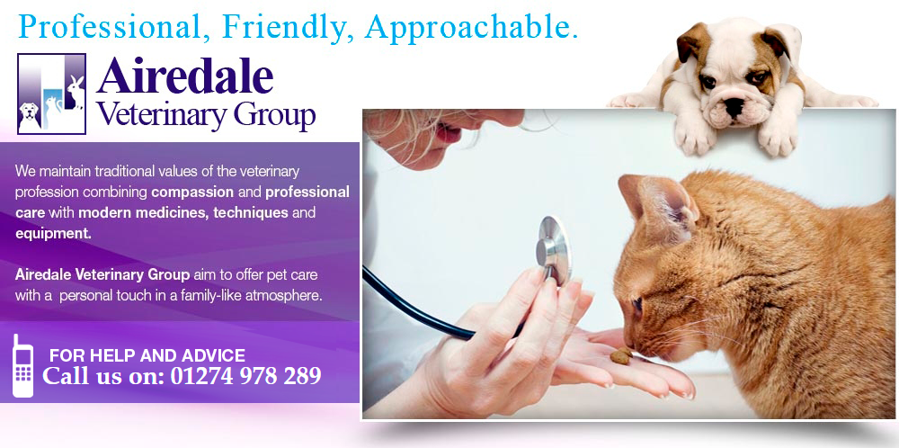 Airedale vet sales
